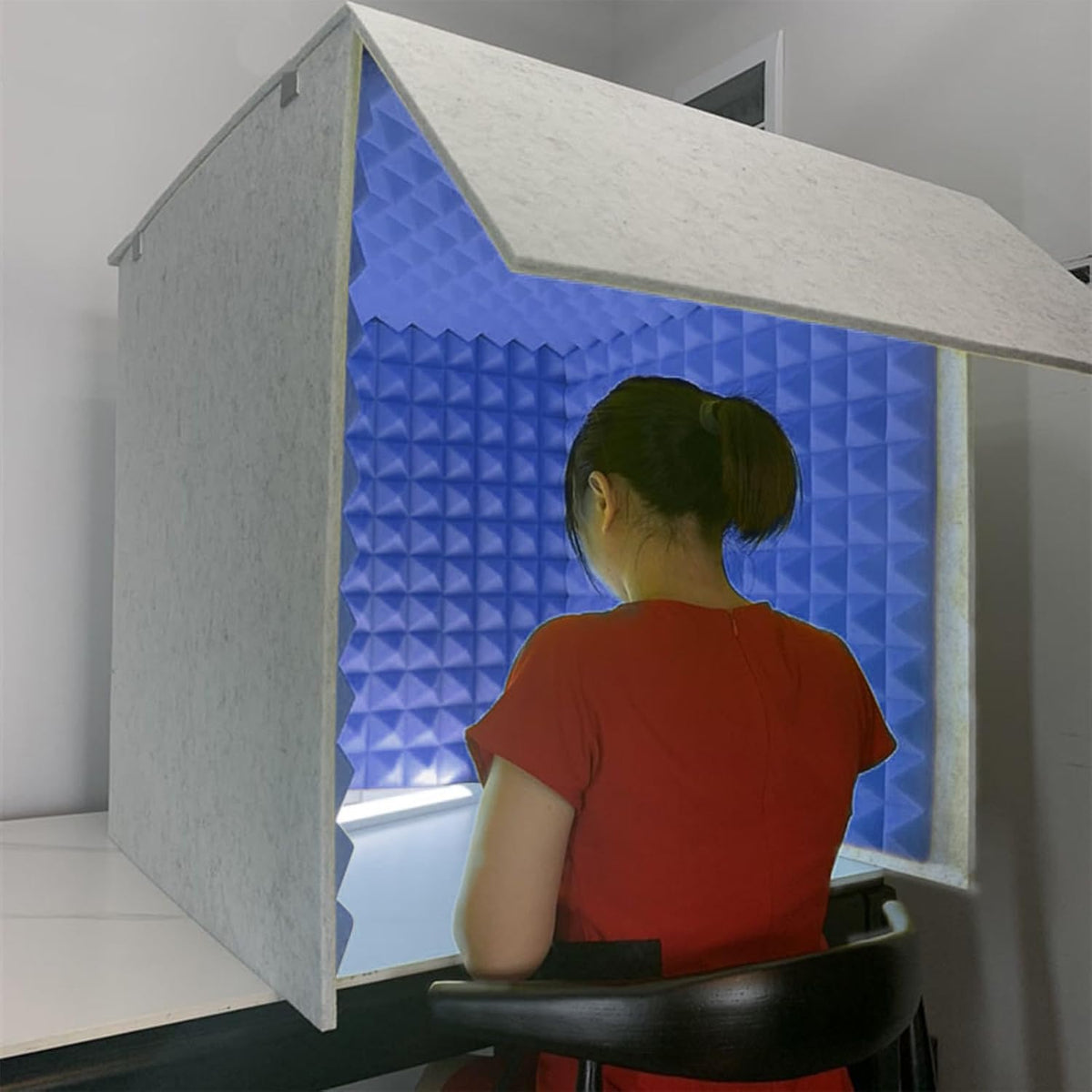 WORDFUN Tragbare Gesangskabine, Mit Absorbierendem Schaum, Professional Isolation Shield Recording, Gesang Aufnahme Panel, Tragbare Tonaufnahme